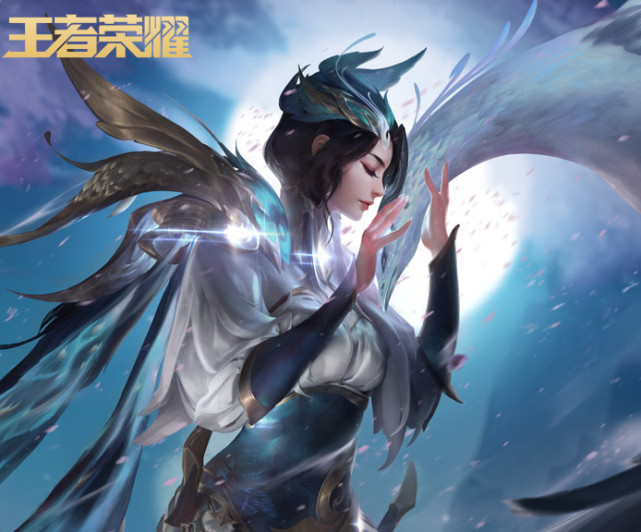 提供了清晰 提供了清晰